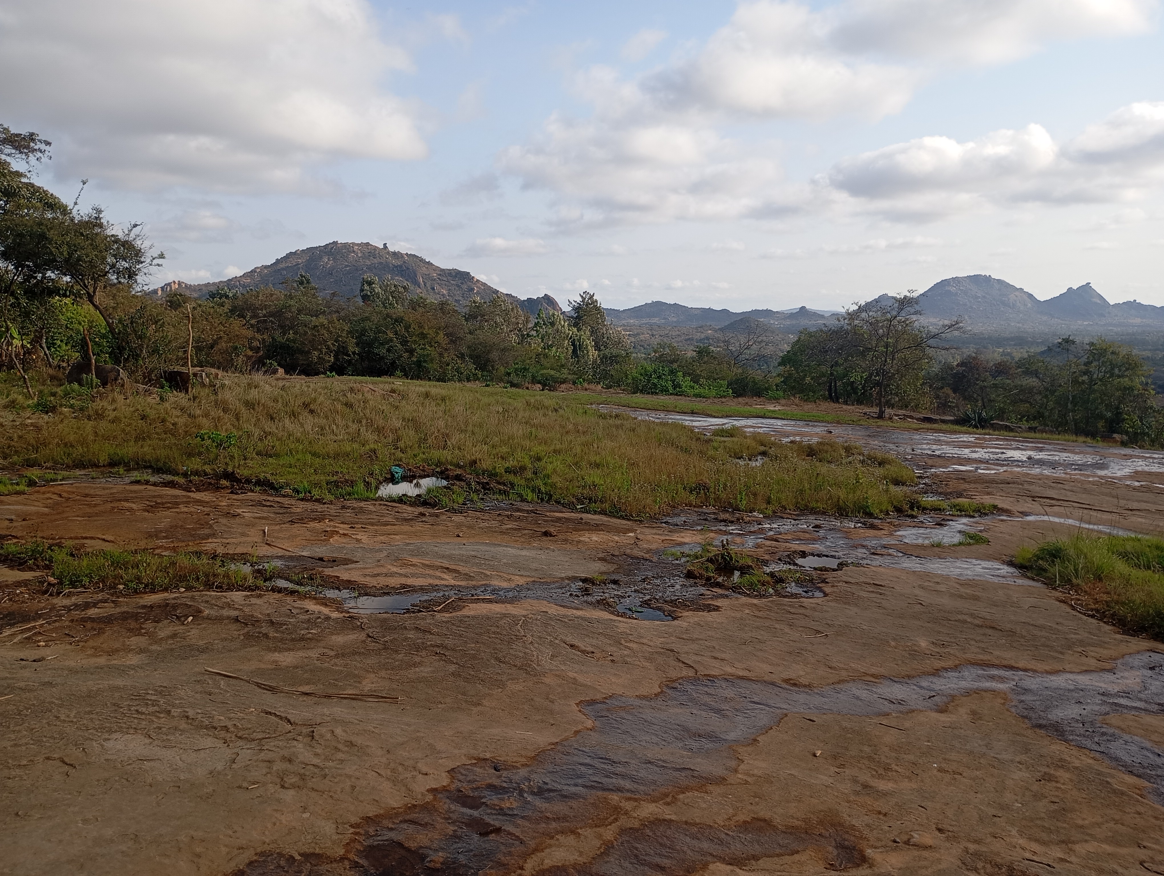 Investing in Land: Why It’s One of the Smartest Moves You Can Make.