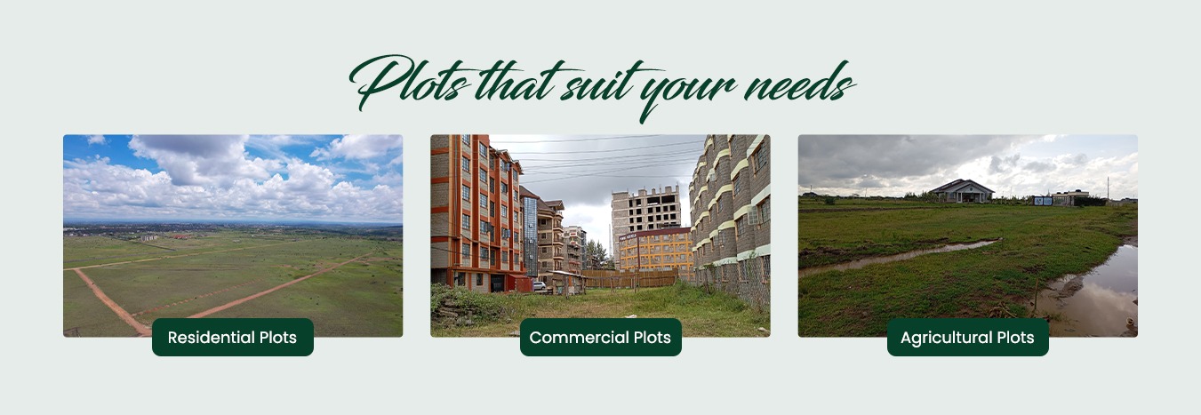 PLOTS THAT SUITS YOUR NEEDS